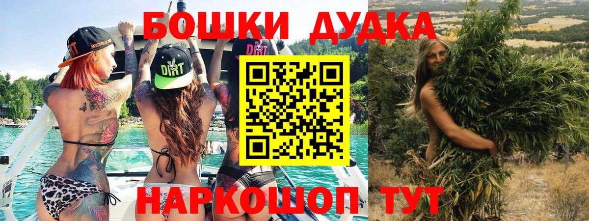 НБОМе Новодвинск